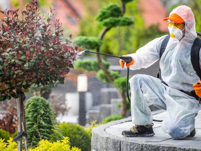 Kağıthane Haşere İlaçlama